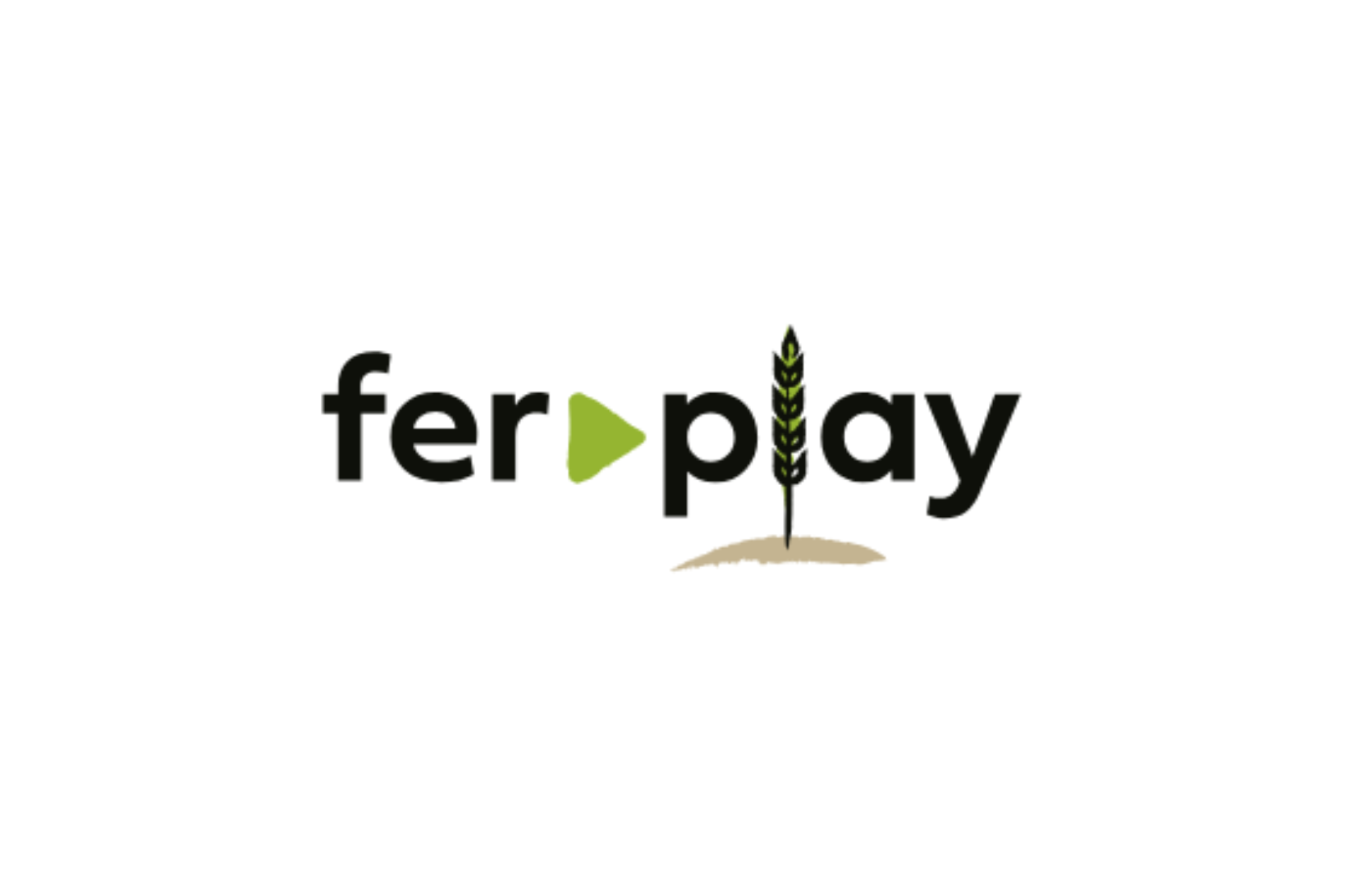 FER-PLAY Final Conference